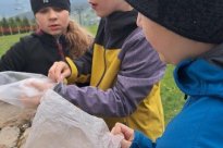 Každá skupina obdržela syrové vejce a materiál na zabalení vajíčka.